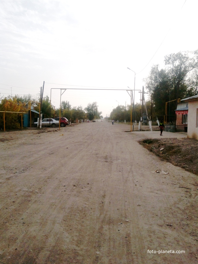 Центральная улица