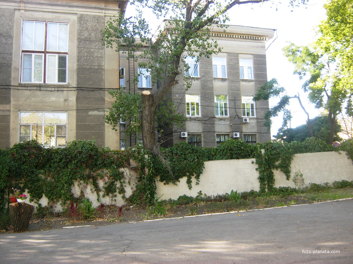 Вид с крыльца школы №24