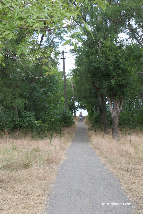 Ейск. Дорожка на пляж Каменка.
