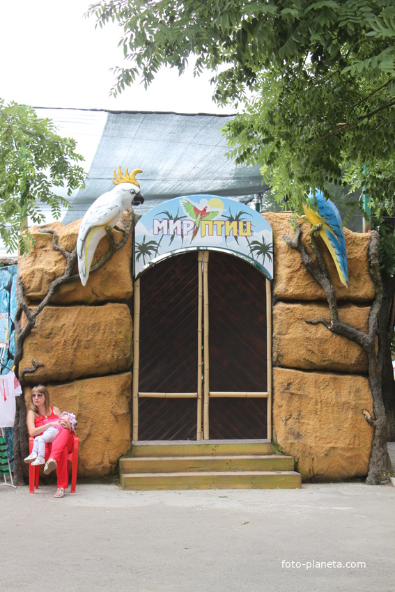 Ейск. Павильон экзотических птиц.