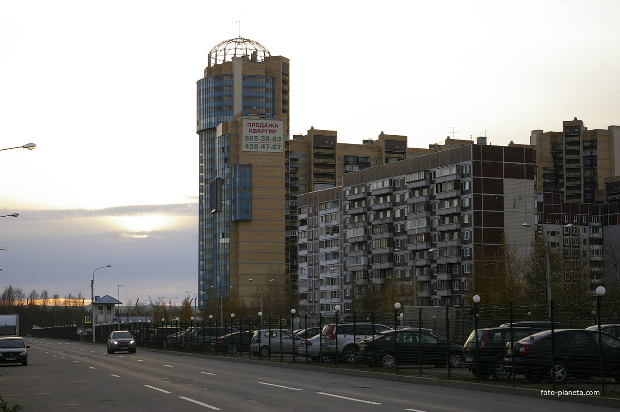 На Шуваловском проспекте.