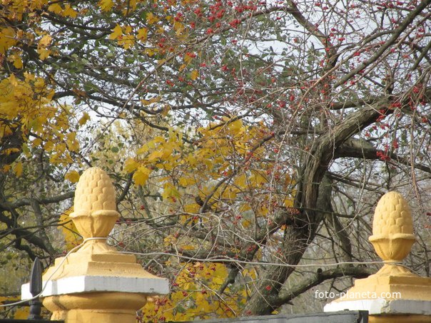 проспект Динамо