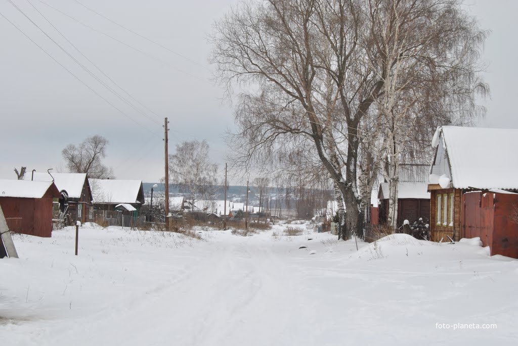Деревня Дмитриевка