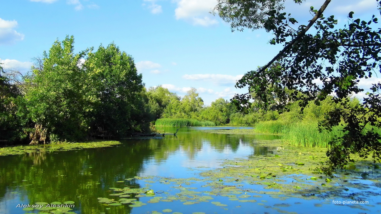 г. Пенза, Старая Сура.