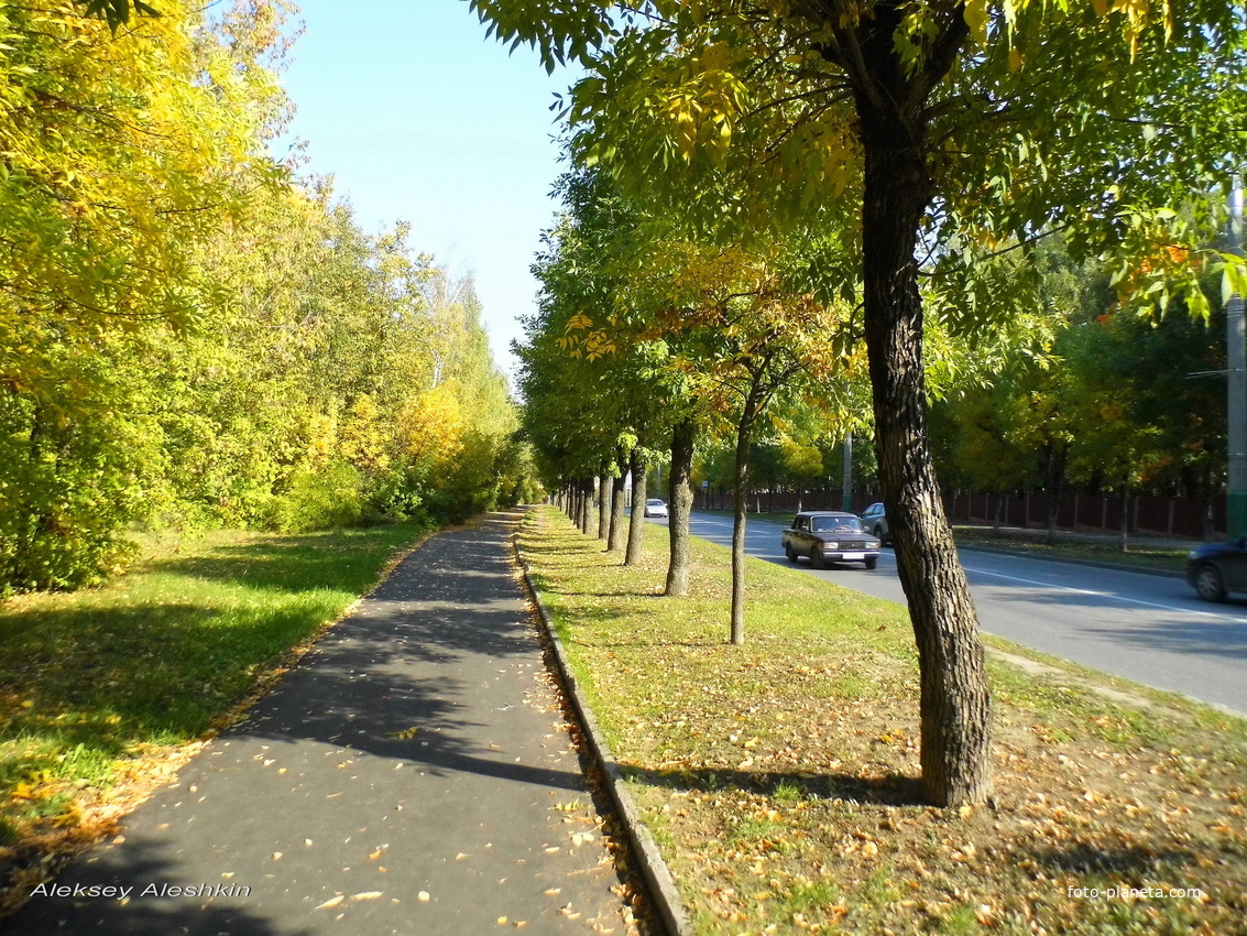 г. Пенза, ул. Захарова.