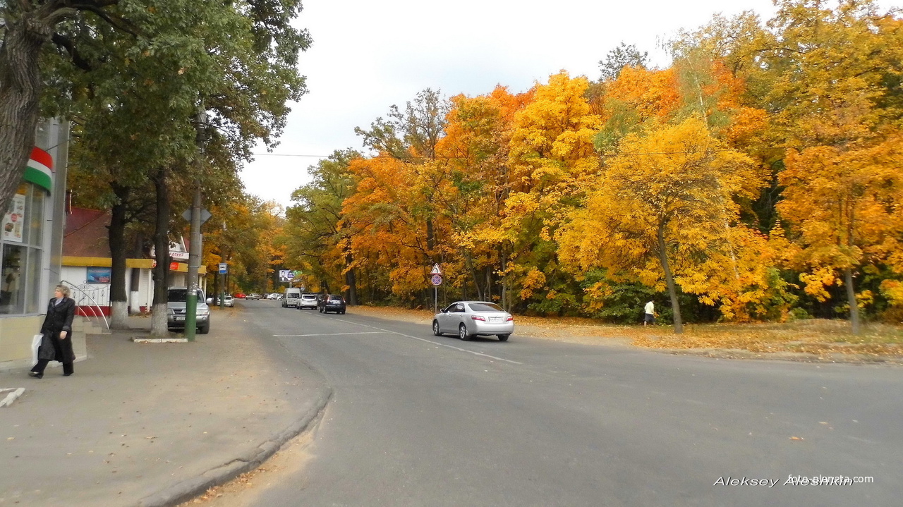 г. Пенза, ул. Ленинградская.