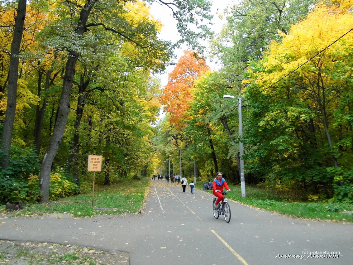 г. Пенза, Олимпийская аллея.