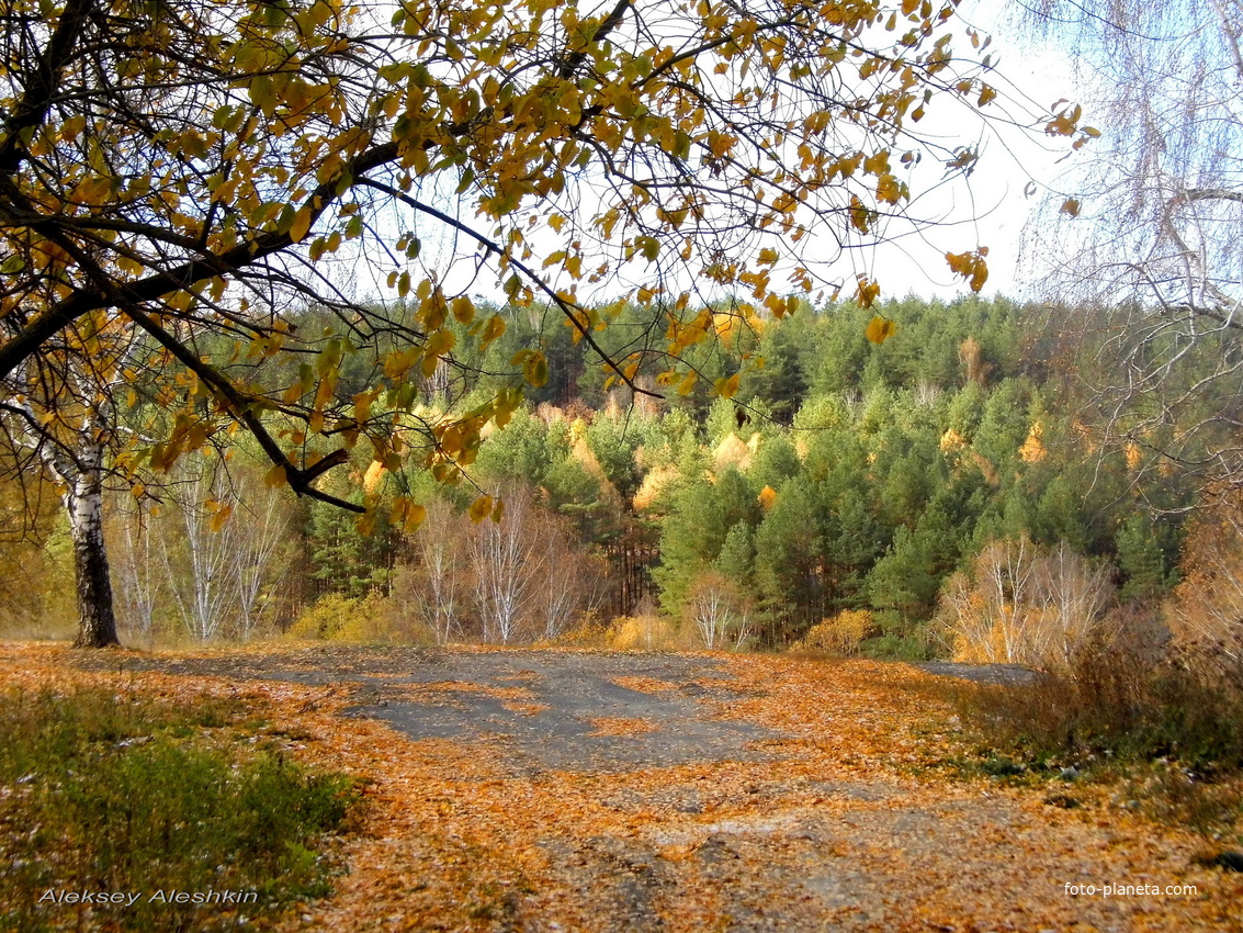 Ласточкины горы пенза