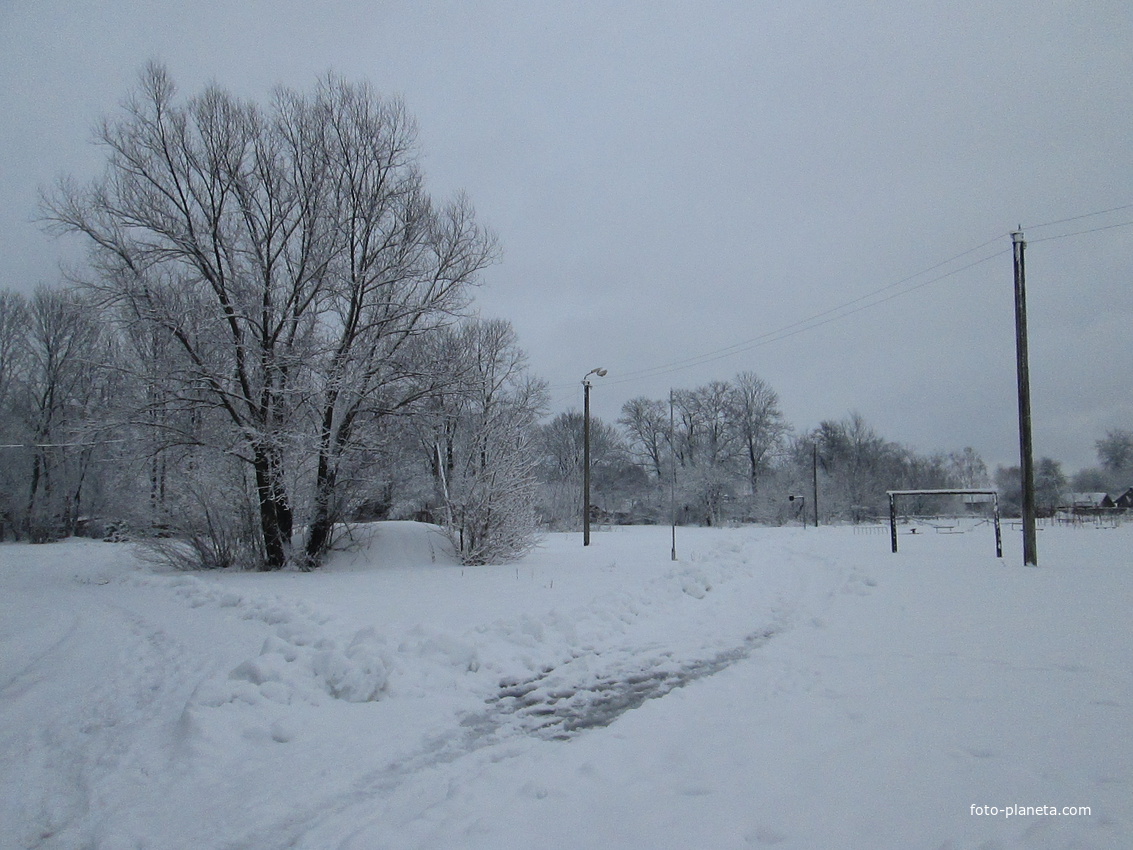 зимой в родной Новомлынке