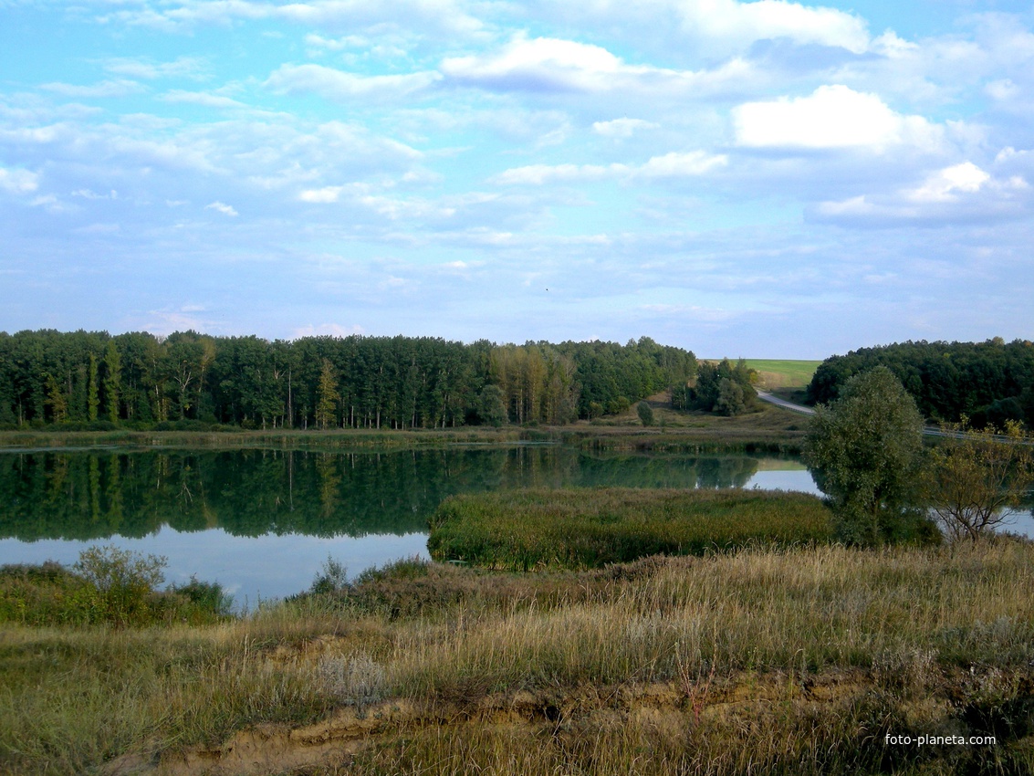 Природа села  Трефиловка