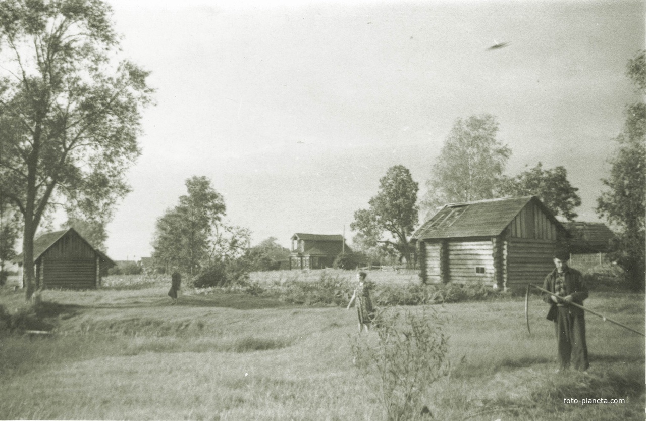 Деревня Шпенёво. Огороды