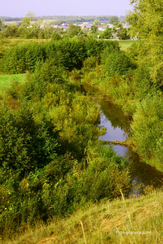 Бобровые плотины на р. Калмашке