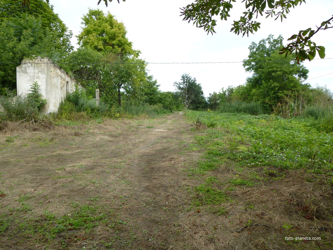 Развалины школы.