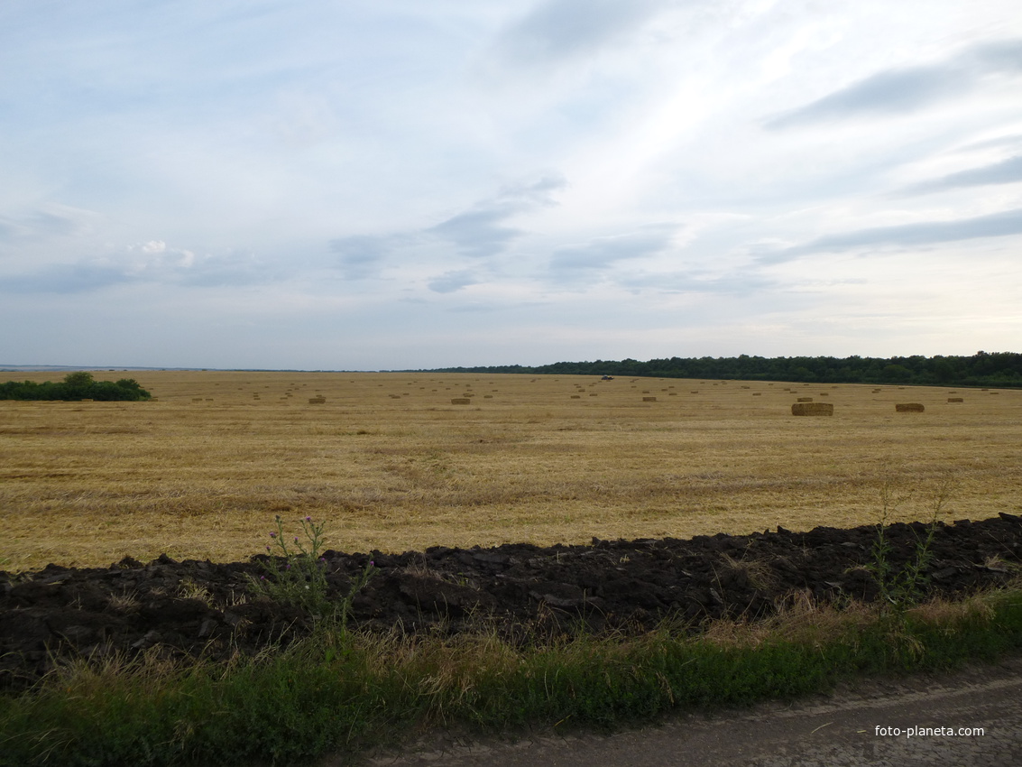 Убранное поле.