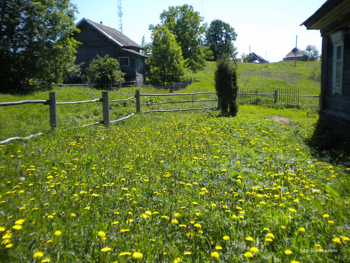Весна в Раменье. 2011.