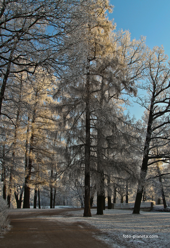 Александровский парк