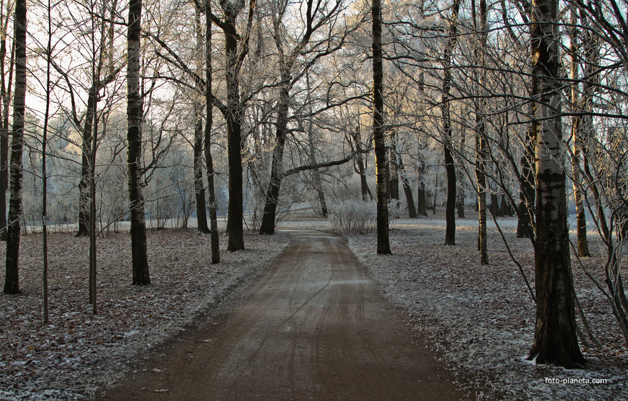 Александровский парк