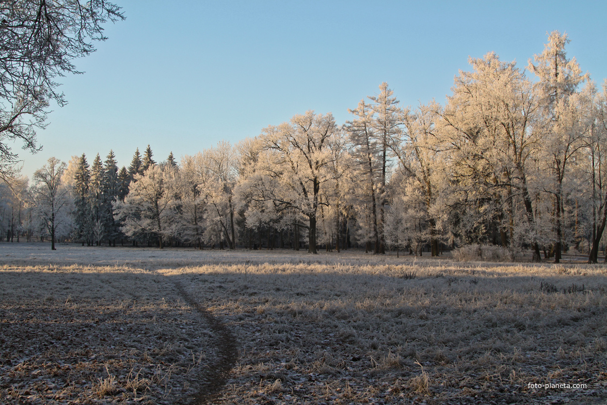 Александровский парк
