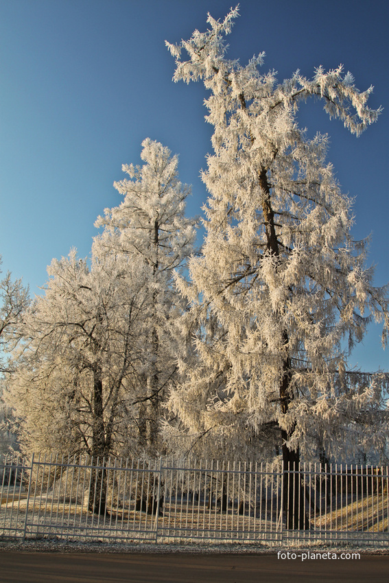 Александровский парк