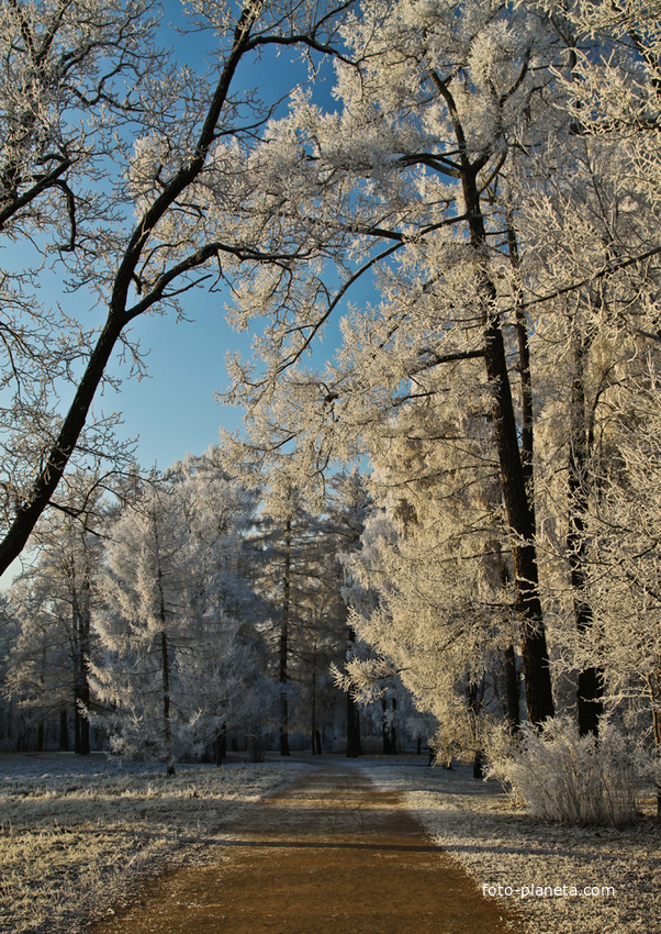 Александровский парк