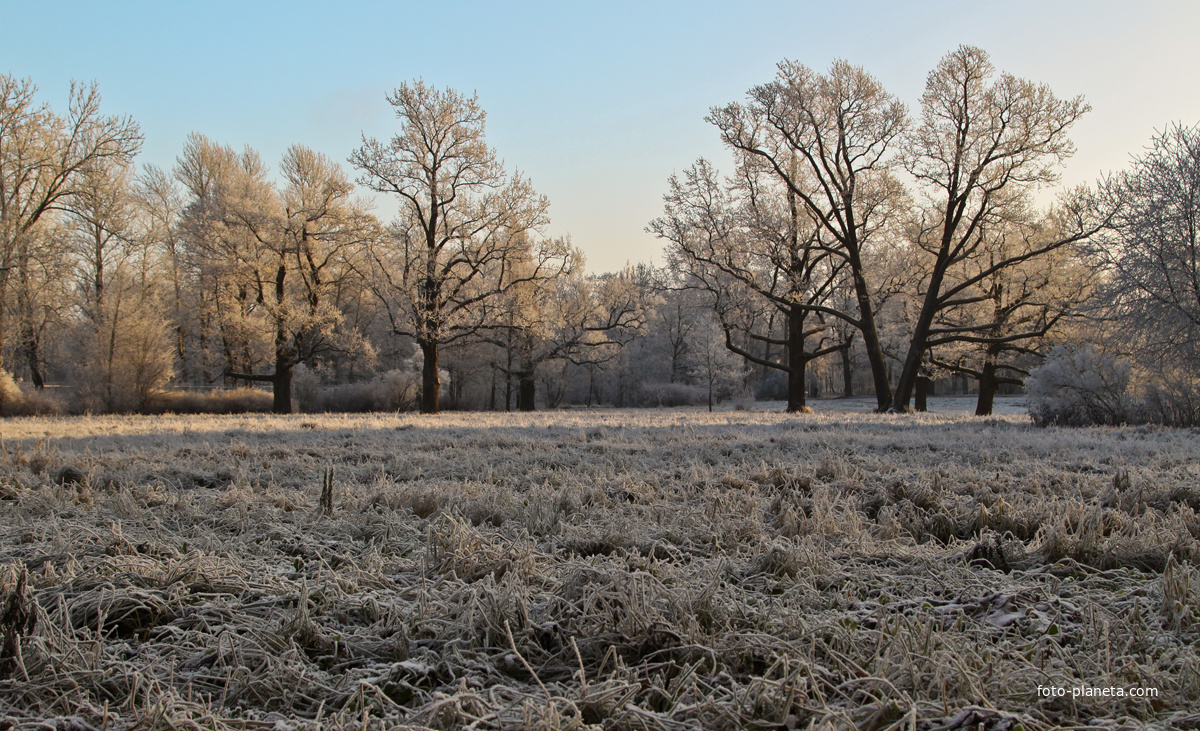 Александровский парк