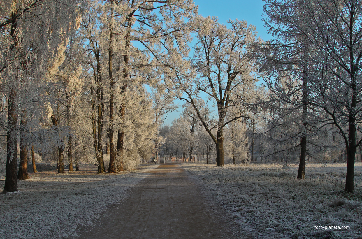 Александровский парк
