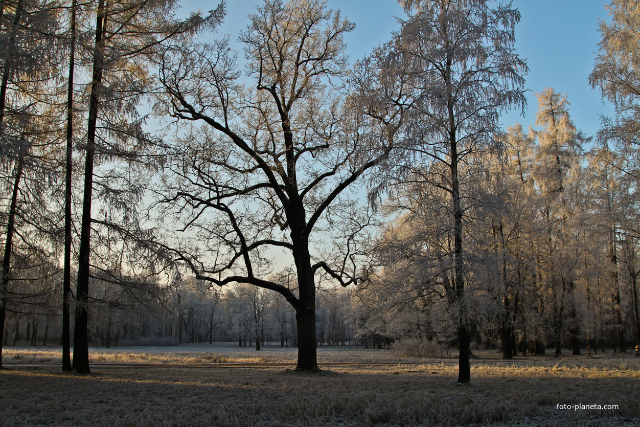 Александровский парк