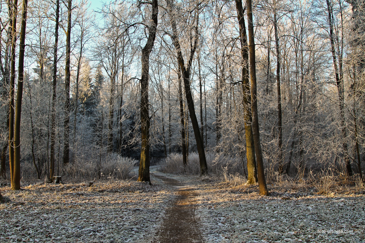 Александровский парк