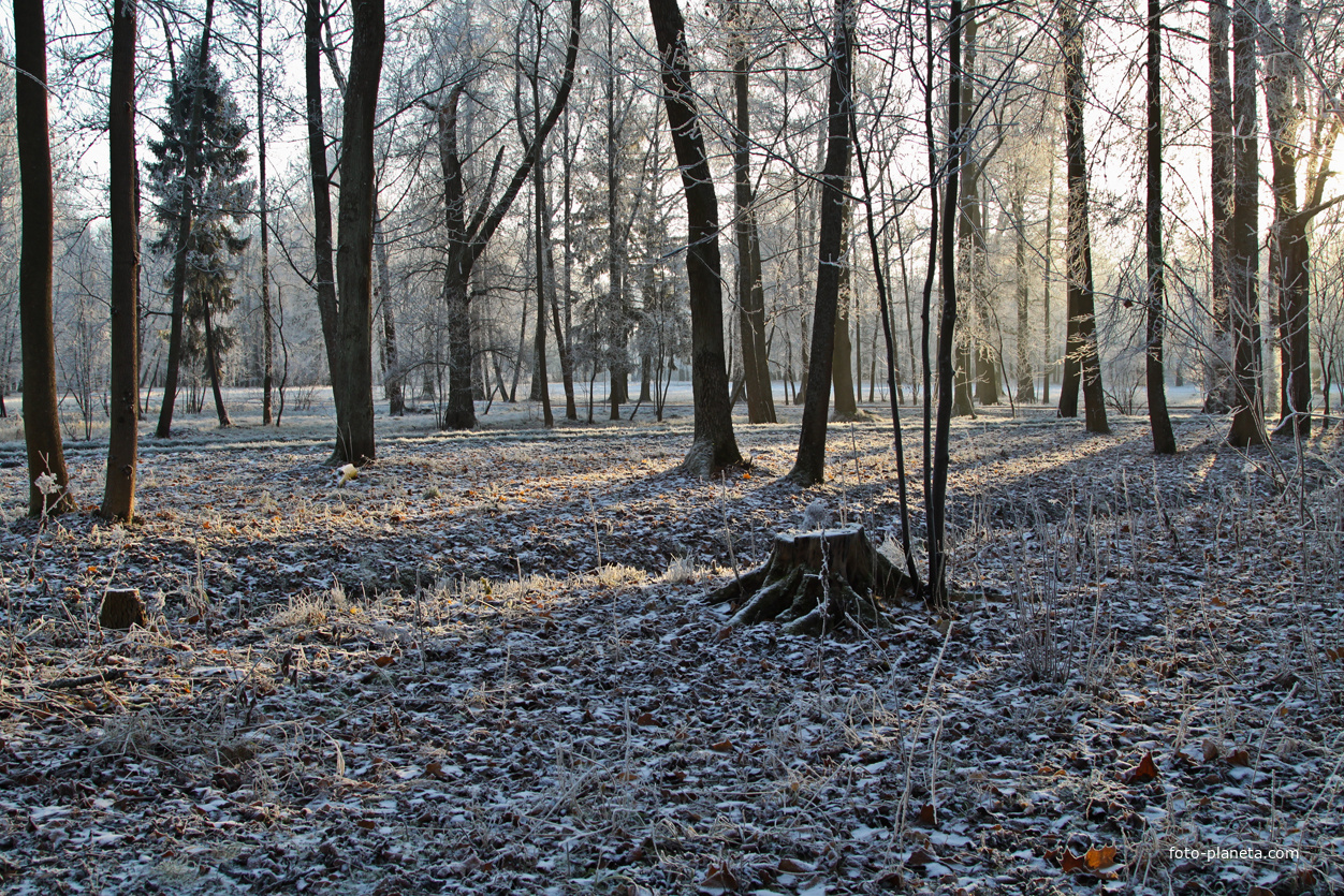 Александровский парк