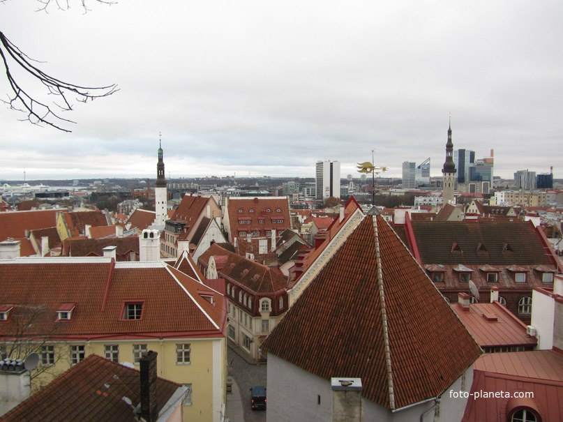 Таллинн. Вид со смотровой площадки