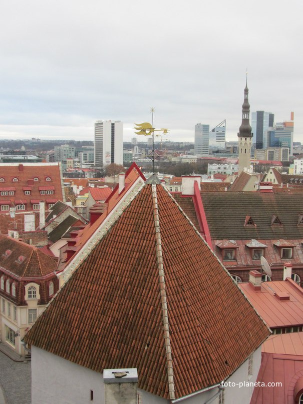 Таллинн. Вид со смотровой площадки