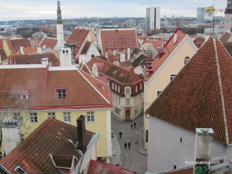 Таллинн. Вид со смотровой площадки