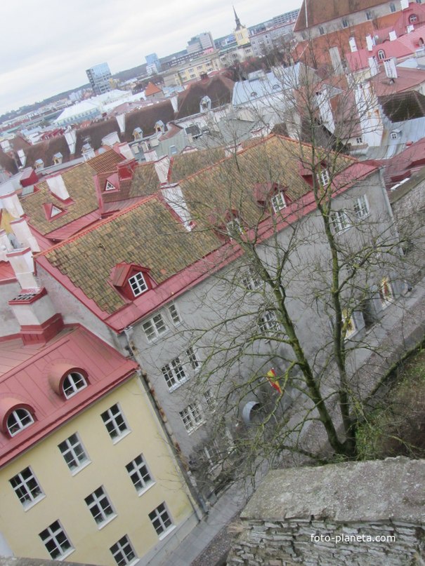 Таллинн. Вид со смотровой площадки
