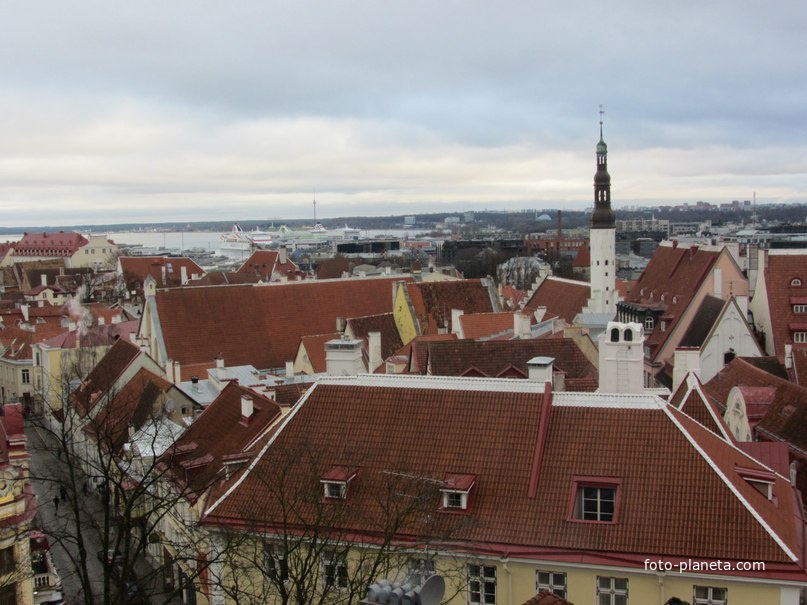 Таллинн. Вид со смотровой площадки