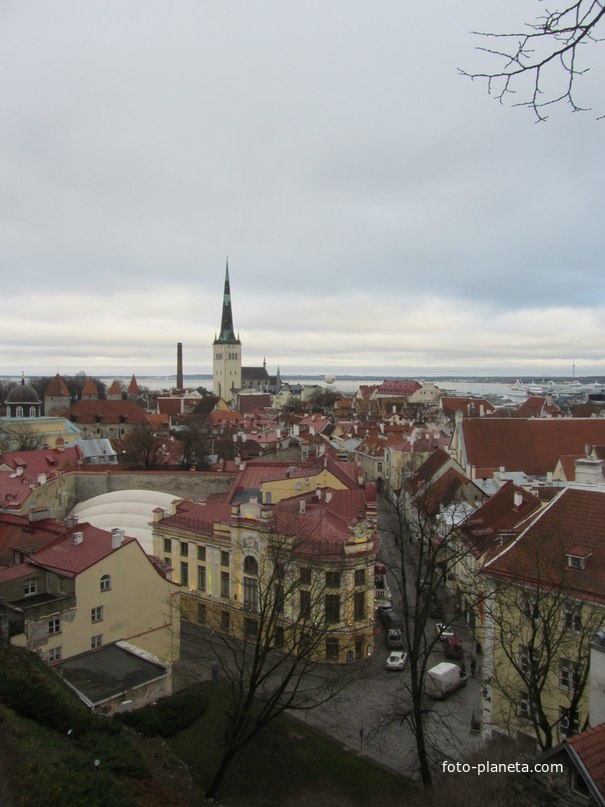 Таллинн. Вид со смотровой площадки