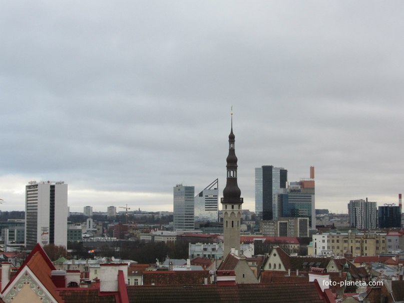 Таллинн. Вид со смотровой площадки