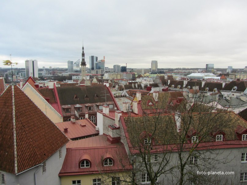 Таллинн. Вид со смотровой площадки