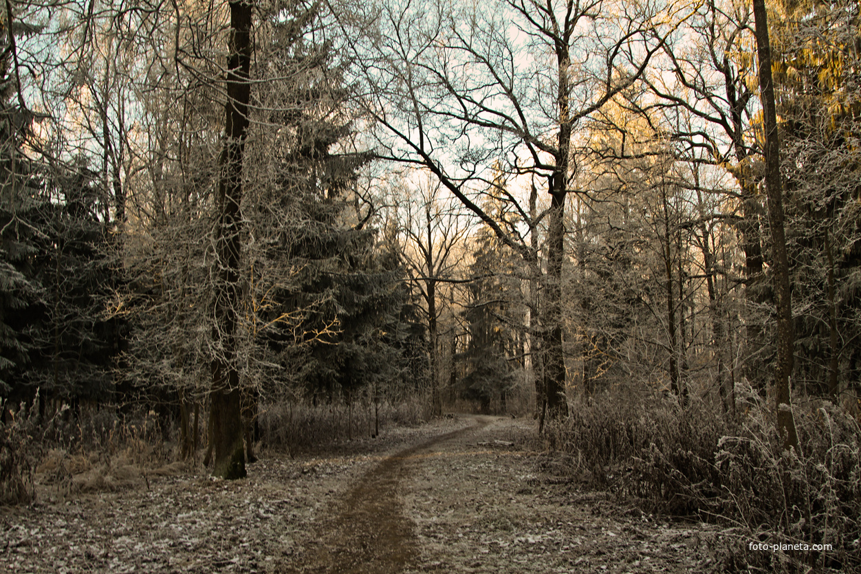 Александровский парк