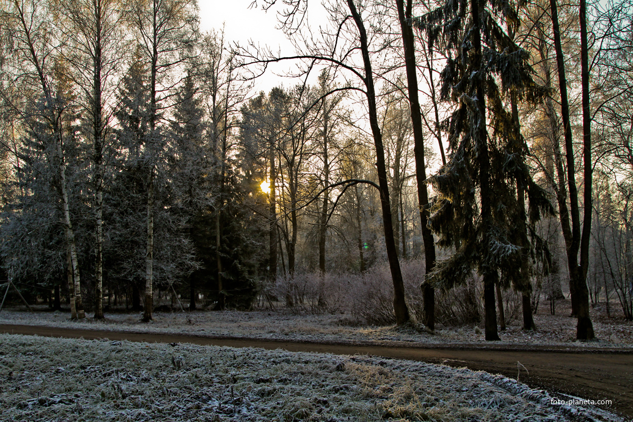 Александровский парк