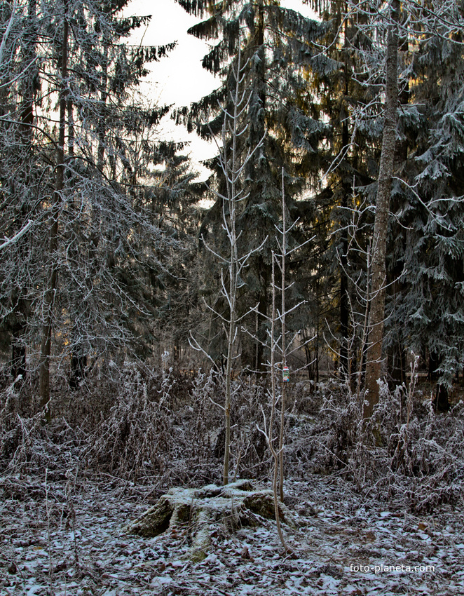 Александровский парк