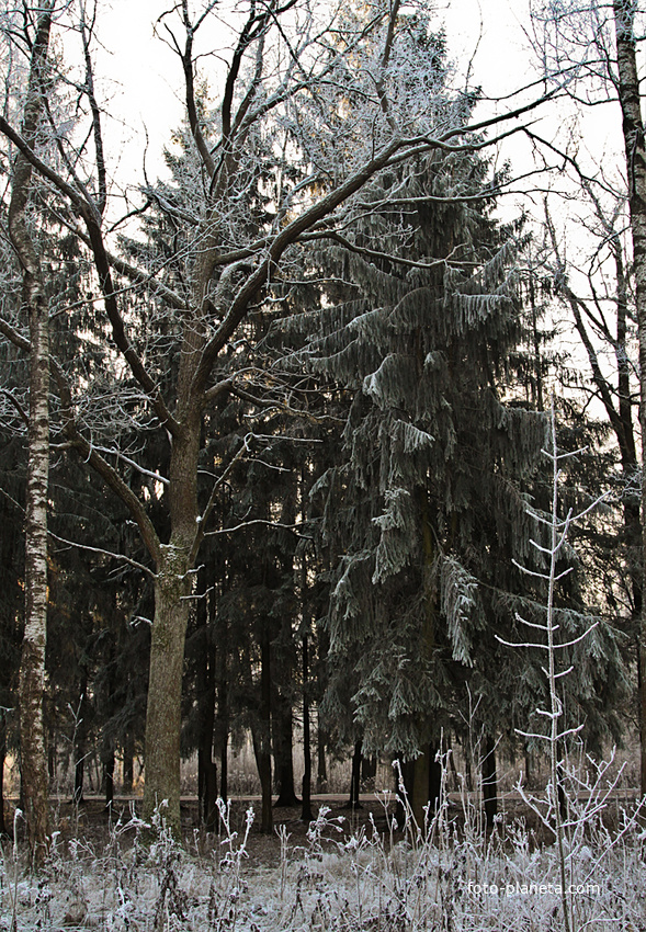 Александровский парк