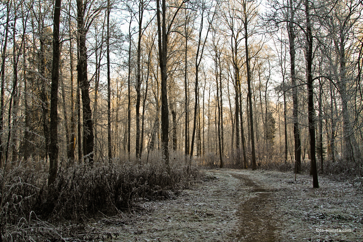 Александровский парк