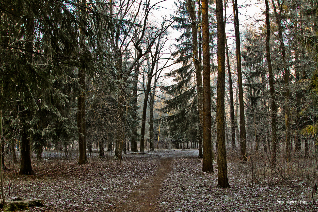 Александровский парк