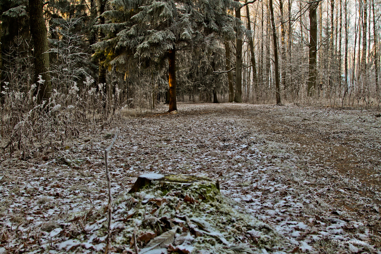 Александровский парк