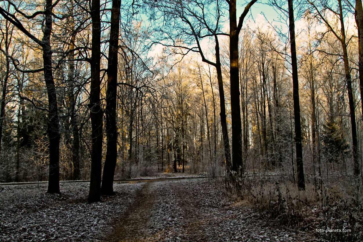 Александровский парк
