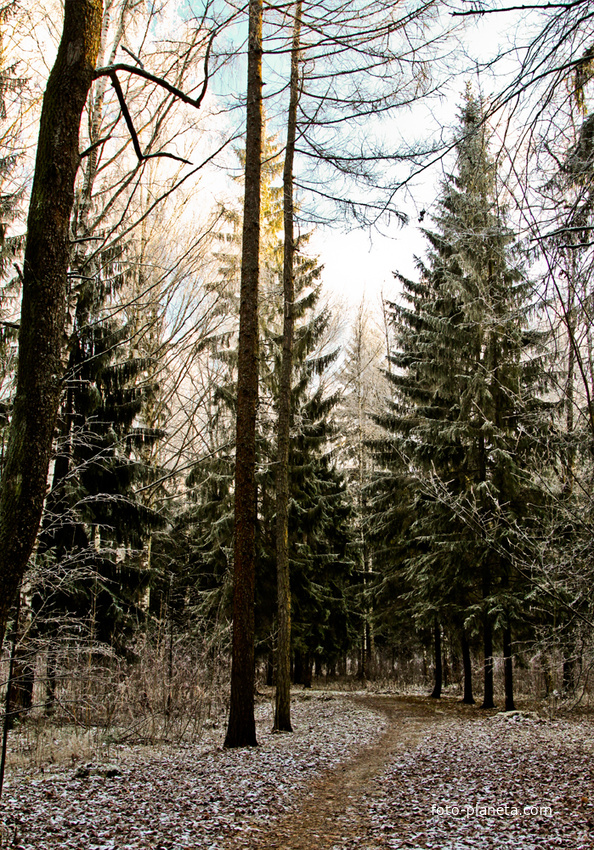 Александровский парк