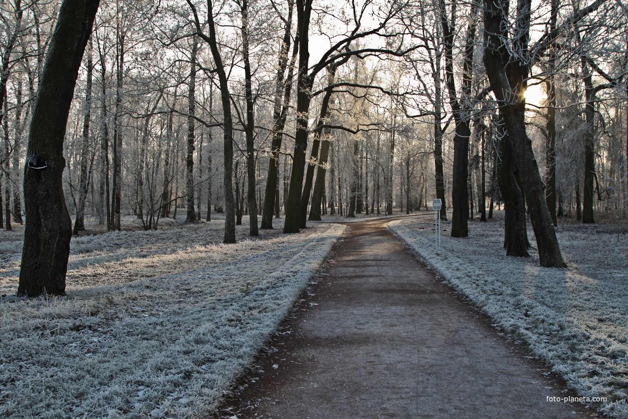 Александровский парк