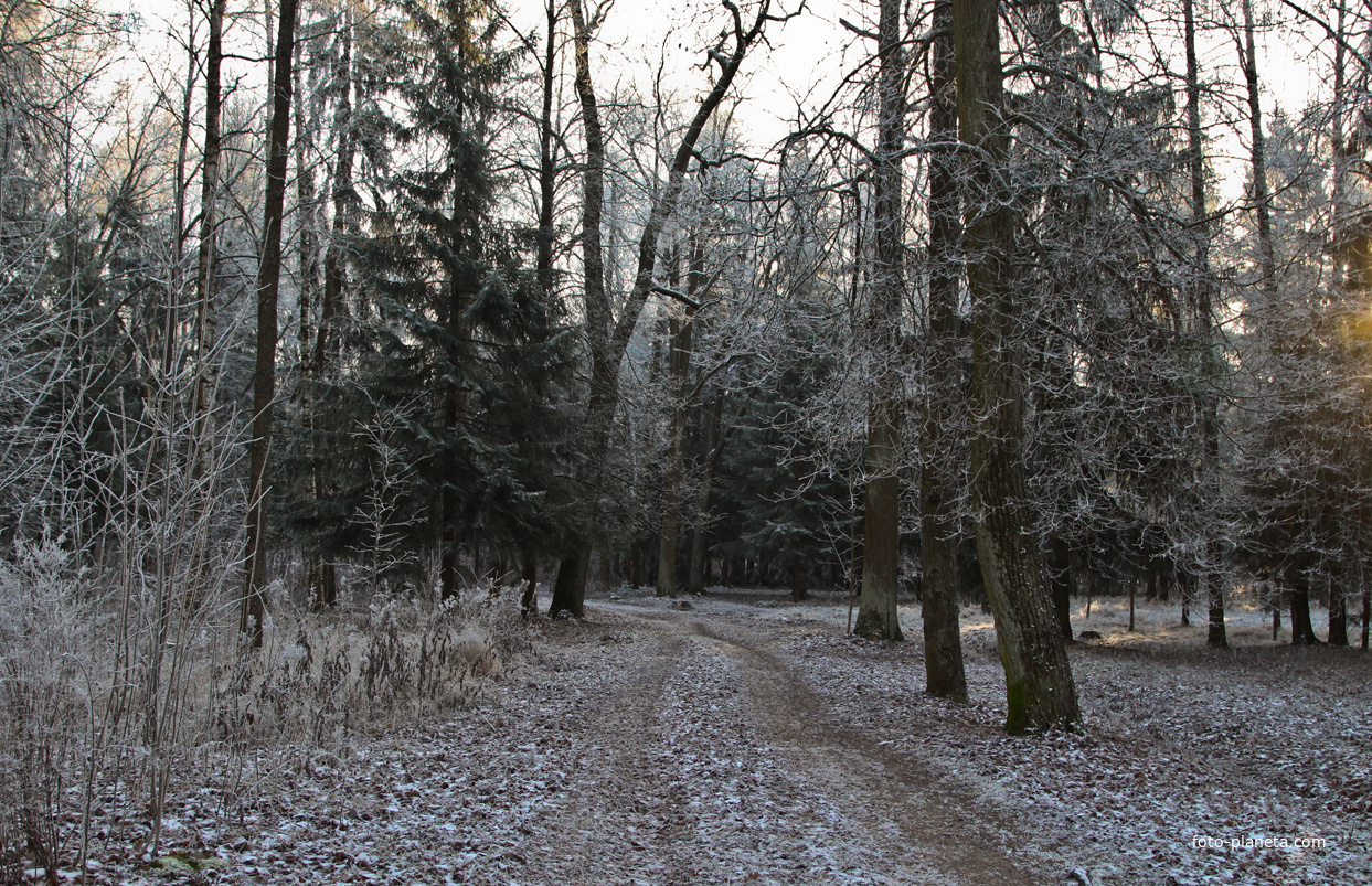 Александровский парк