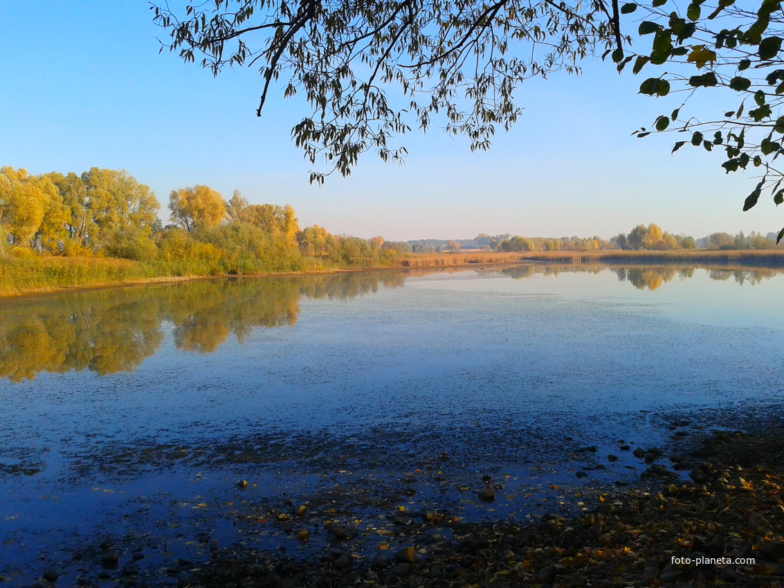 Войківський ставок
