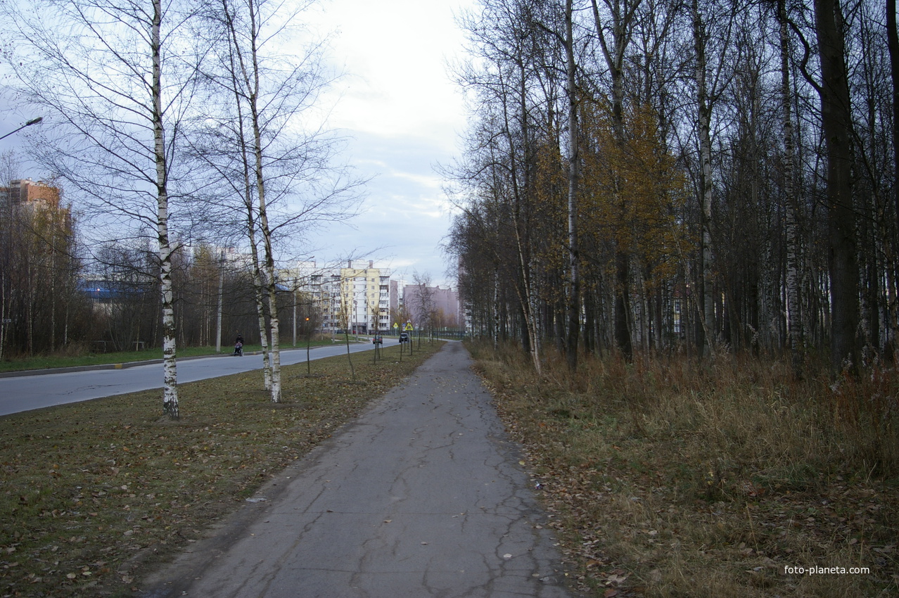 Улица Нижне-Каменская.Парковая зона.